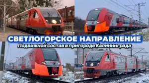 Разнообразие зимнего подвижного состава на Светлогорском направлении. «Ласточки» и рельсобусы