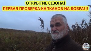Осенняя охота на бобра с капканами. Проверка капканов на бобра