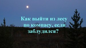 Как выйти из лесу по компасу?