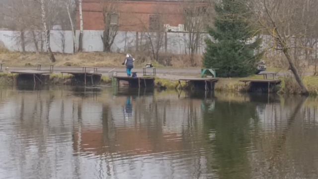 Светлые Горы Форель 02.12.2025г.