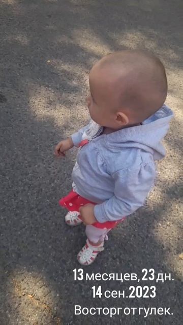 13 мес.,23 дн.Восторг от гулек (14 сен.2023).mp4