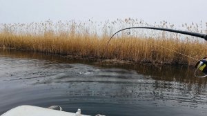 ЗАБРАЛИСЬ В ДИКИЕ МЕСТА! СДЕСЬ ПОЛНО ГОЛОДНЫХ ЩУК! Спиннинг поздней осенью.