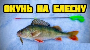 Зимняя рыбалка в Сибири. Ловим окуня с подводной камерой. Разговоры о Важном - рыбалка. Моменты