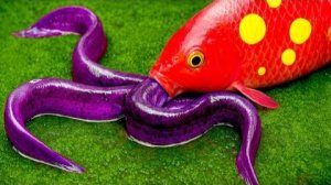 Великий доктор из рыбы Кои! Лягушка и угорь дерутся в грязи | Анимация забавных животных в режиме