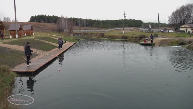 Форелевая ферма (1) . Платная рыбалка смотреть онлайн