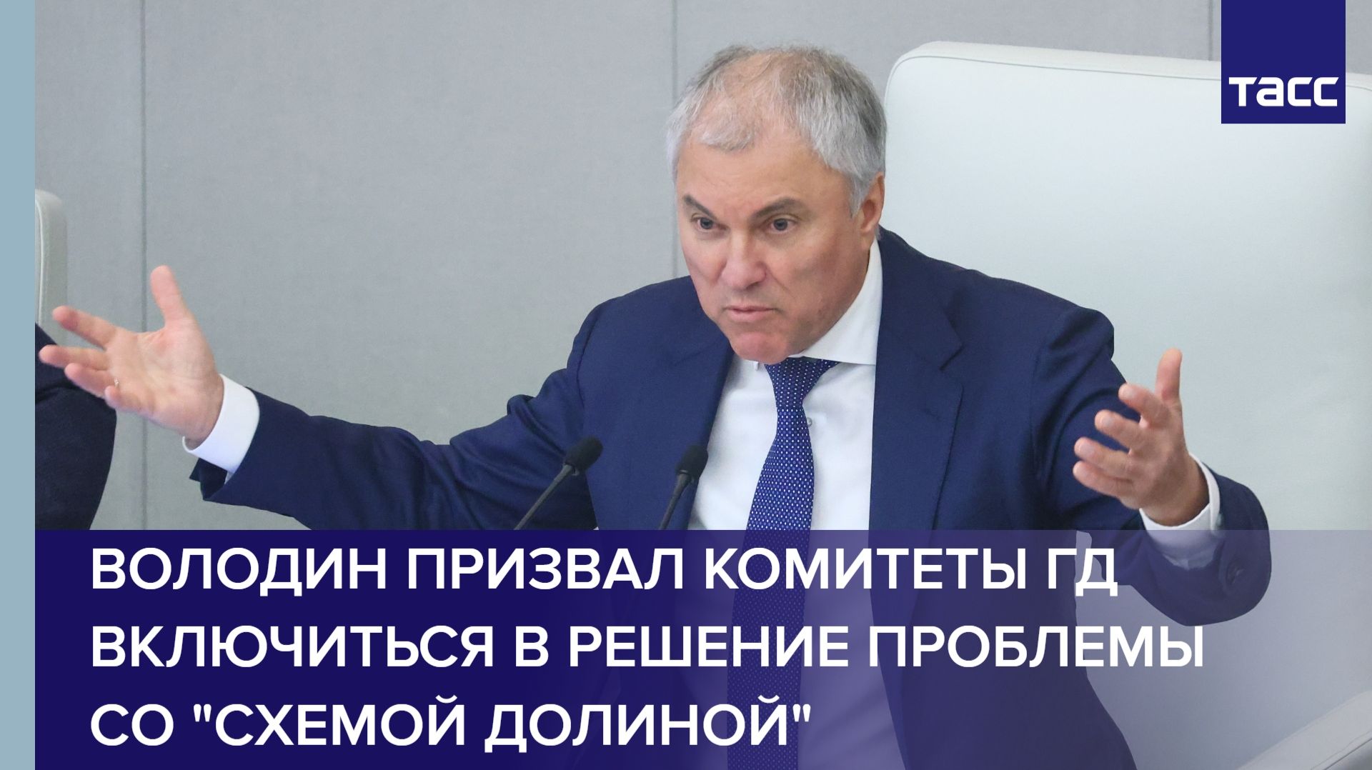 Володин призвал комитеты ГД включиться в решение проблемы со "схемой Долиной"