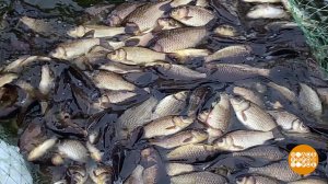 Есть мунха - будет и уха! Доброе утро. Фрагмент выпуска от 02.12.2025