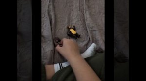 Маша и Медведь Дышите не дышите 22.