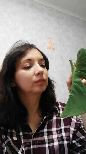 Мечты♥️Подпишись👍🤗🌱