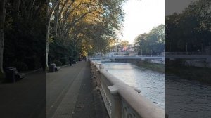 правильные слова 👍