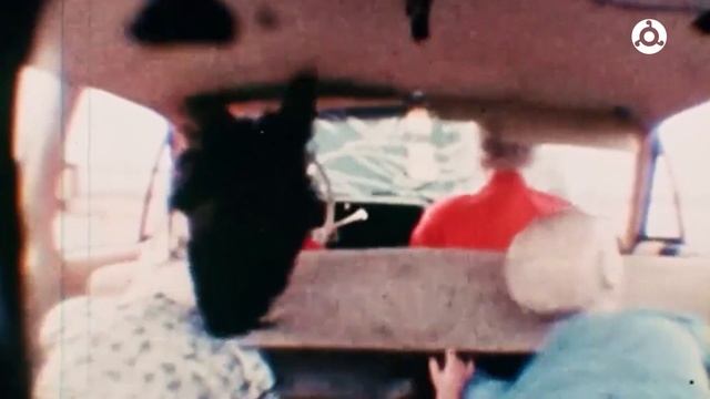 Знаете ли вы? Что нужно знать о ремнях безопасности