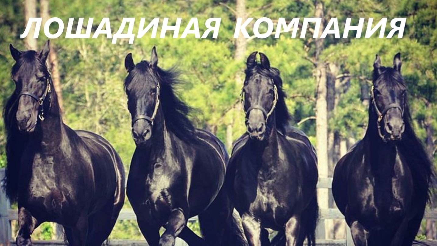 Органайзер и подушка.Подарки с символом года.(декабрь 2025г) смотреть онлайн