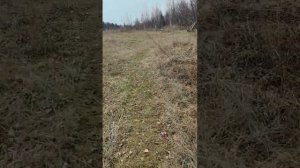 природа осень