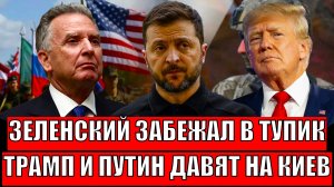 Зеленский забежал от России в тупик// Трамп и Путин началаи давить на Украину!