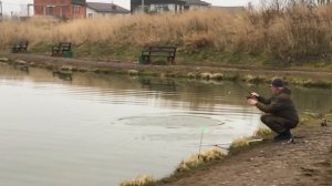 поимка форели на фидер