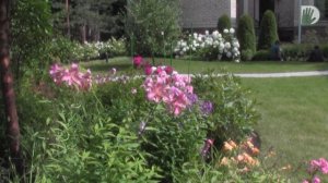 Видео журнал «Сады в отличной форме №28» Реконструкция авторского сада дизайнера Натальи Самсоновой.