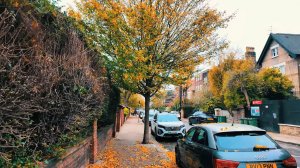 🇬🇧 Осенняя прогулка по Лондону от Южного Хэмпстеда до Килберна 4К