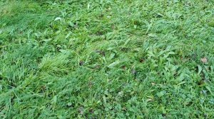 Из тëплой осени да в зиму....