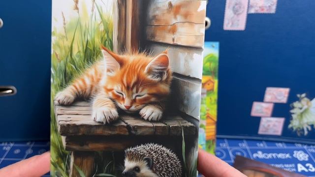 Покупки открыток для посткроссинга 📫🥰