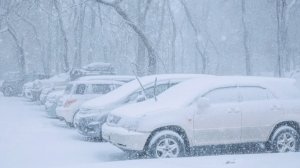 Снежный апокалипсис в Приморье: машины застревают в сугробах, спецтехника бесперебойно убирает снег