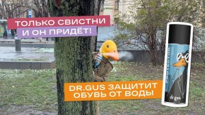 Дождь? Грязь? Пофиг! Когда на страже стоит Dr.Gus 🦢 (Позови и он придет!)