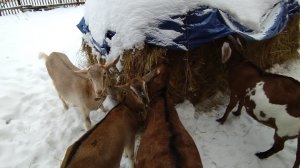 02-12-2025 Не хочу снимать.