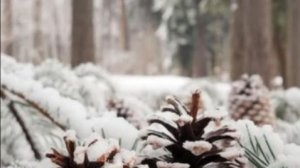 пожелания добра открытки с добрым утром