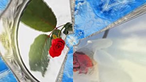 Картины Розы на Снегу в Ледяной Галерее 2 от Киностудии Мудрого Кота Тимофея!