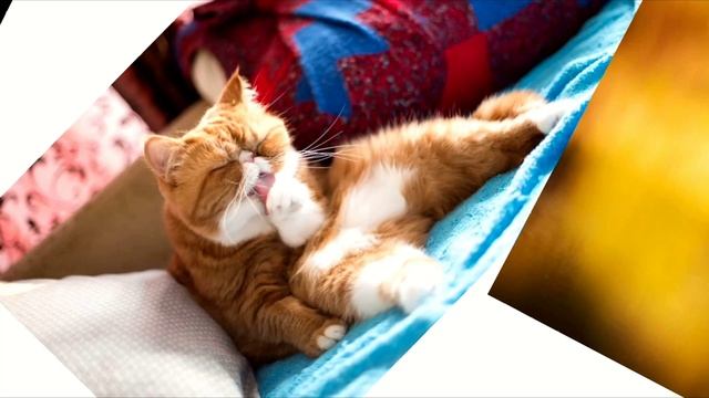 Atmosession - Vol. 7 (vocal chillout)