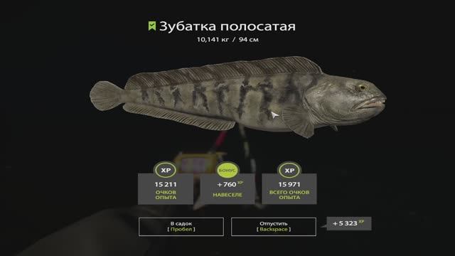 Русская Рыбалка 4. Норвежское море. 55-ая банка смотреть онлайн