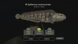 Русская Рыбалка 4. Норвежское море. 55-ая банка