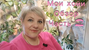 Мои хойи | Обзор | Часть 2