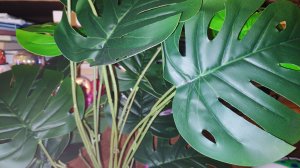 ПОКУПКИ ИЗ ПЯТЁРОЧКИ С ЦЕНАМИ