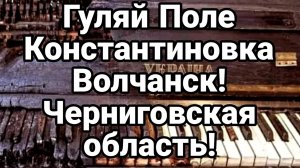 ТАМИР ШЕЙХ / ГУЛЯЙ ПОЛЕ КОНСТАНТИНОВКА ВОЛЧАНСК! ЧЕРНИГОВСКАЯ ОБЛАСТЬ. сводка новости