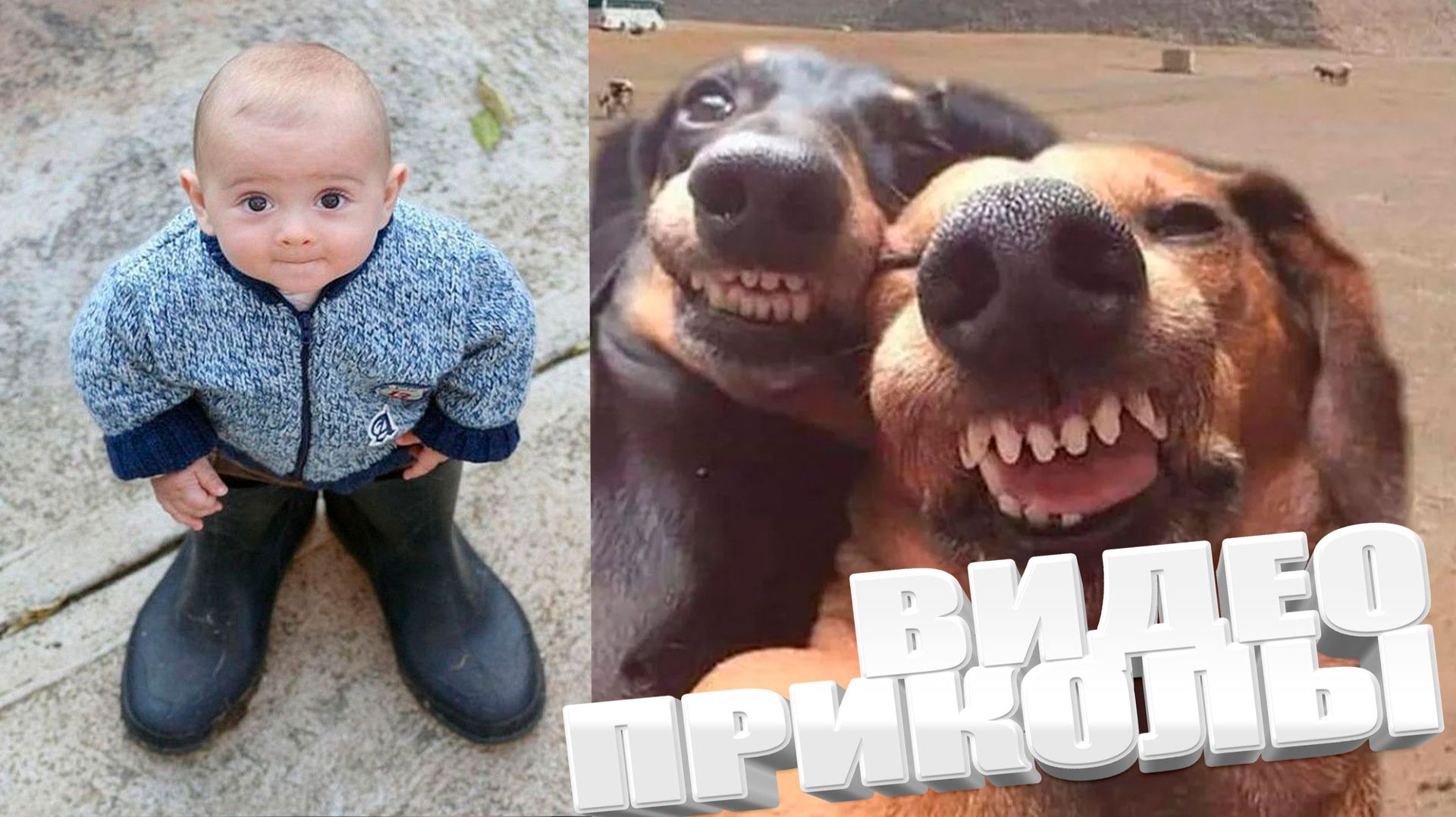 ТОПОВЫЕ ПРИКОЛЫ 2025 \ СМЕШНЫЕ ВИДЕОПРИКОЛЫ \ КАЧЕСТВЕННАЯ ПОДБОРКА ВИДЕОПРИКОЛОВ