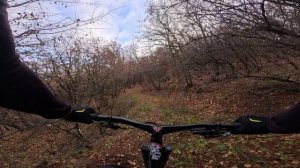 трейл выкат Хвостик Дохлой Лисы / 29.12.25