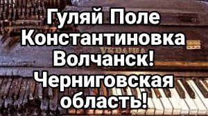 ГУЛЯЙ ПОЛЕ КОНСТАНТИНОВКА ВОЛЧАНСК! ЧЕРНИГОВСКАЯ ОБЛАСТЬ