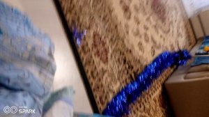 VID_20251202_134333.mp4