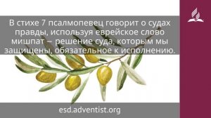 3 декабря 2025. Заповеди для жизни. Под сенью благодати | Адвентисты