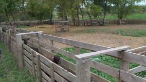 3f70477c-221b-40f4-8b24-11764a6db28e