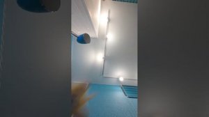 трансляция не для взрослых