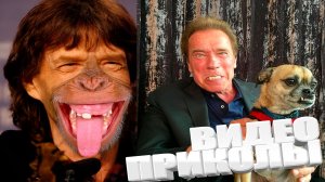 ОТБОРНЫЕ ПРИКОЛЫ \ САМЫЕ СМЕШНЫЕ ПРИКОЛЫ 2025года \ ОЧЕНЬ СМЕШНЫЕ ВИДЕОПРИКОЛЫ