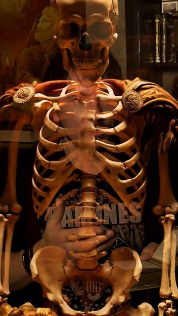 Псалом 36 смысл молитва псалтирь история библия  полезное православие христианство