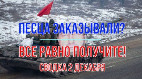 Песца заказывали - получите, сводка 2 декабря