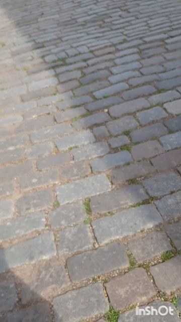 Путешествия и отдых.Питер2024.Фильм30.Серия4.Часть3.mp4