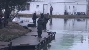 поимка форели на спиннинг