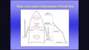West 6 лёгочный кровоток