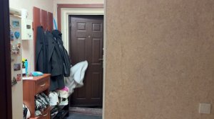 Спецэффект №1 "Проход через стену" Шевелева