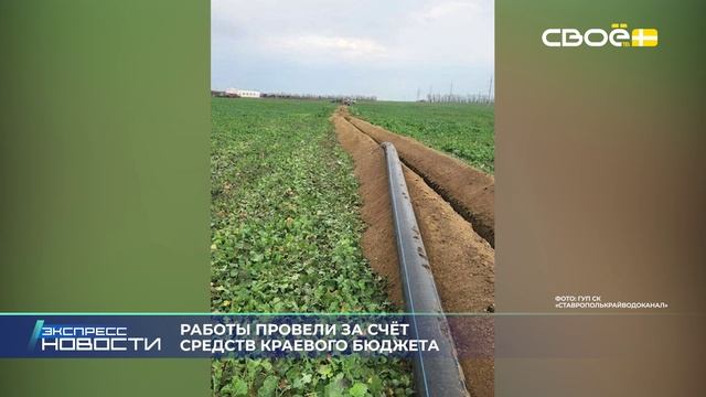 Экспресс новости на Своём от 1 декабря 2025г. 16:30