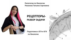 ТИПЫ РЕЦЕПТОРОВ - ПОДСКАЗКИ К РЕШЕНИЮ